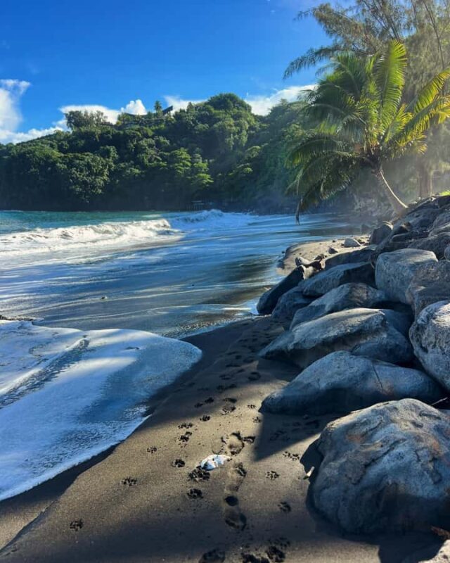 Tahiti: Unique East Coast Half Day Tour with Local Guide - Introduction: An Authentic Slice of Tahiti