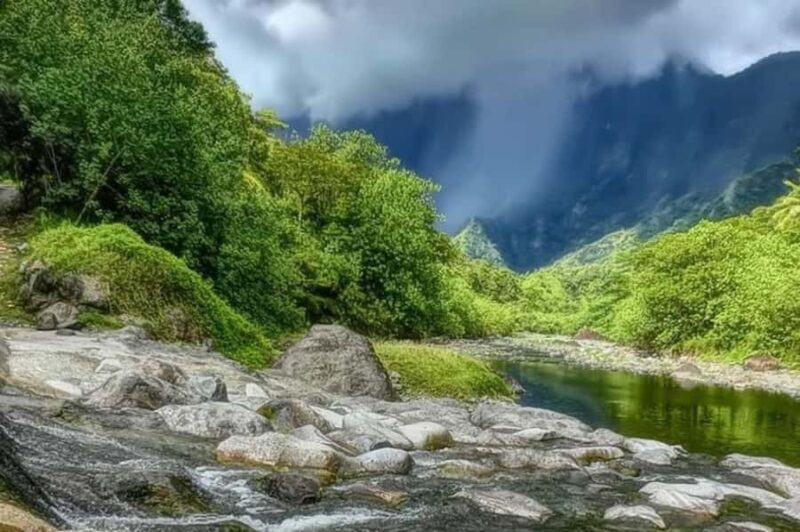 Tahiti: Unique East Coast Half Day Tour with Local Guide - Who Will Love This Tour?