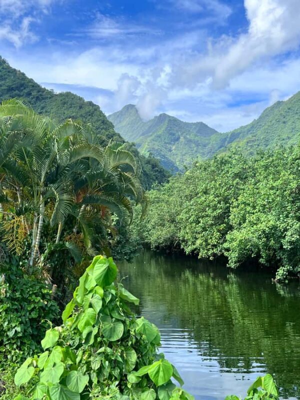 Tahiti: Unique Full Day West Coast, Combo Tour to Teahupoo - Final Thoughts