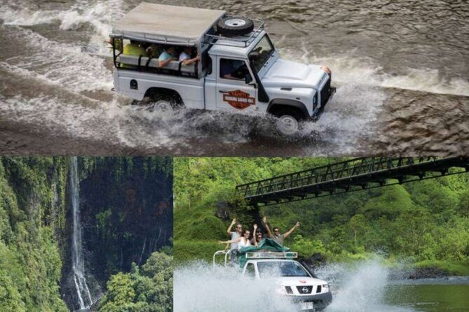 Tahiti Volcanic Adventure Full Day Private Shore Tour - What We Think About the Experience