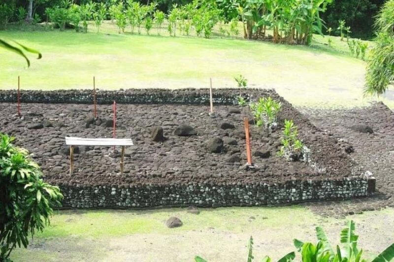 Tahiti: West and East Coast Island Tour with Waterfalls - A Practical Overview of the Tour