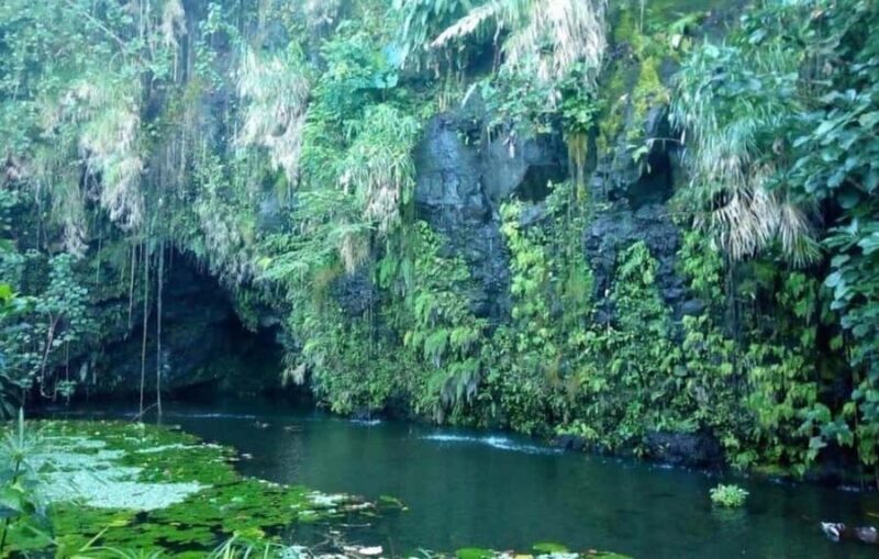 Tahiti: West and East Coast Island Tour with Waterfalls - The Value of This Tour