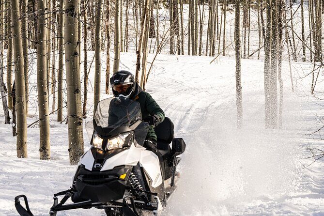 Tahoe Lakeview Snowmobiling Tours - The Practical Side: What’s Included and What to Bring