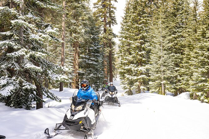 Tahoe Snowmobiling Tours Review: Fun Adventure Awaits - Good To Know
