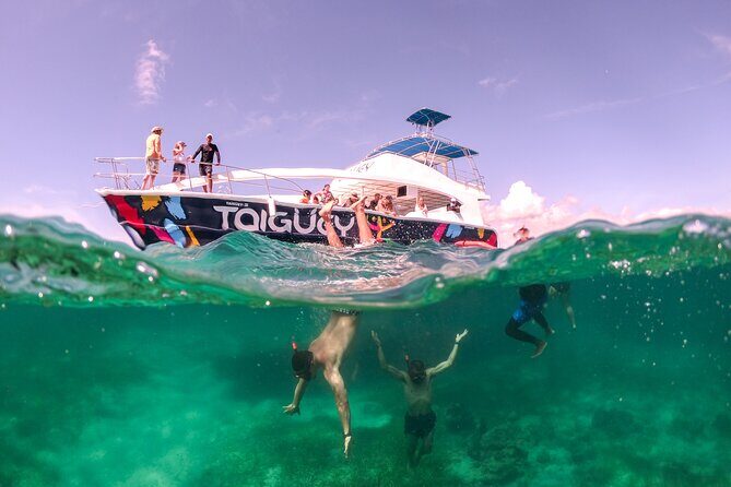 Taiguey Emotion Show - FAQ: Your Questions Answered