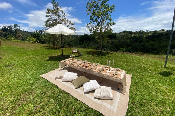 Tailor Made Luxury Picnics - Vida Vistas - Explore Puerto Ricos Beauty