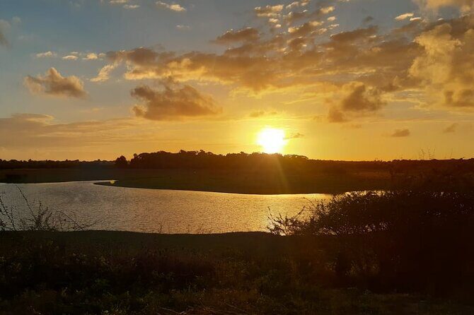 Tailor-made Private Excursions in Guadeloupe - Who Should Consider This Tour?  