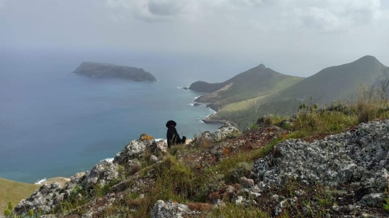 Tailored Trek: Your adventure, Your Way - Key Points