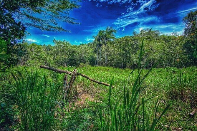 Taino Bay & amber cove 7 Damajagua Waterfall Lunch Excursion - Why Choose This Tour?