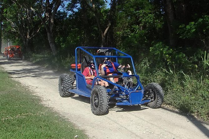 Taino Bay Shore Excursion - 2 person Buggy Tour - The Experience: Pros and Cons