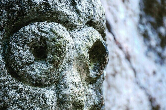 Tainos / Indigenas Los Haitises Caves and Mangroves Canoes Tour - Who Should Consider This Tour?