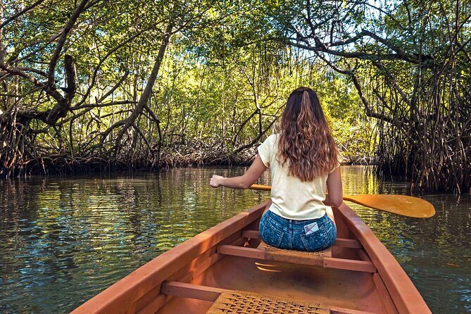 Tainos / Indigenas Los Haitises Caves and Mangroves Canoes Tour - Final Thoughts