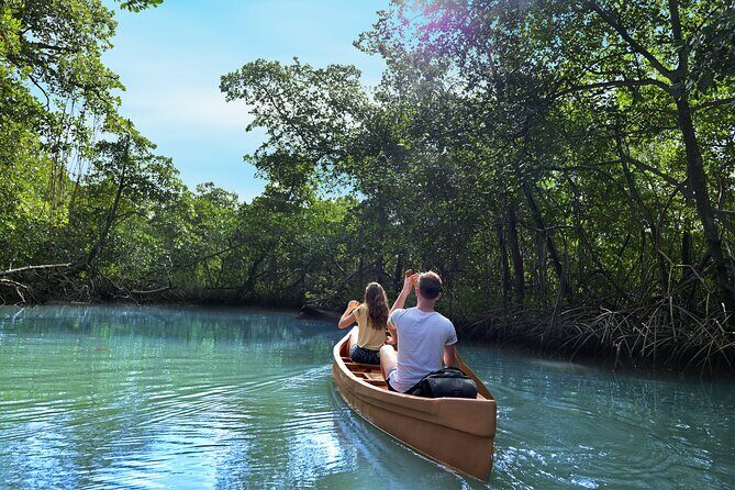 Tainos / Indigenas Los Haitises Caves and Mangroves Canoes Tour - FAQs