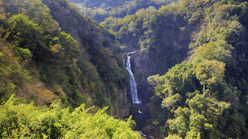 Taipei: Daxi Old Street and Tea Factory, Xiaowulai Day Tour - What Makes This Tour Stand Out?
