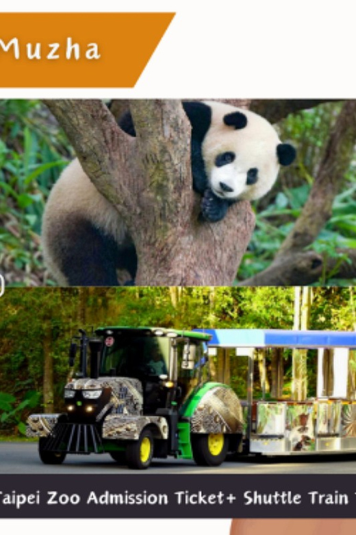 Taipei Makong Cable Car: Ticket & Combos - Important Information