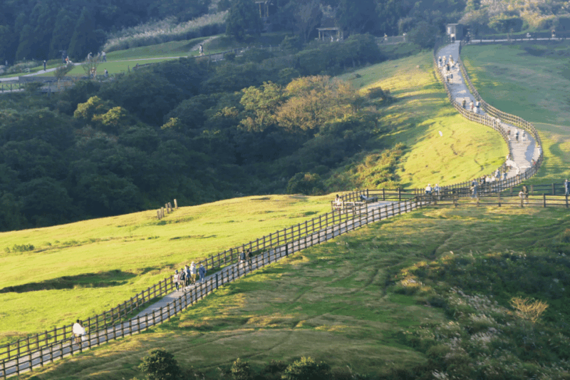 Taipei: Yangmingshan & Beitou Full-Day Tour - Yangmingshuwu Guided Tour