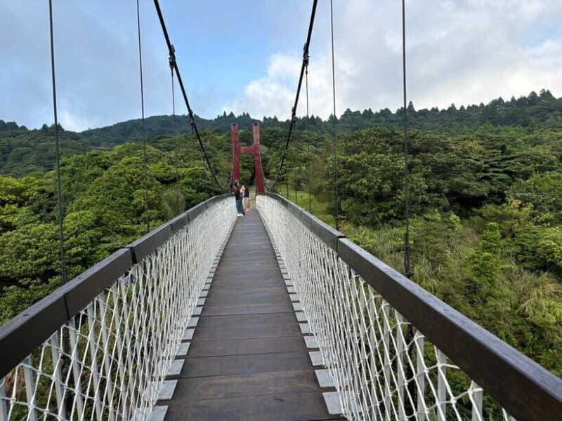 Taipei: Yanmingshan walking tour - Qingtiangang Grassland - The Experience Provider: Stunning Taiwan Travel