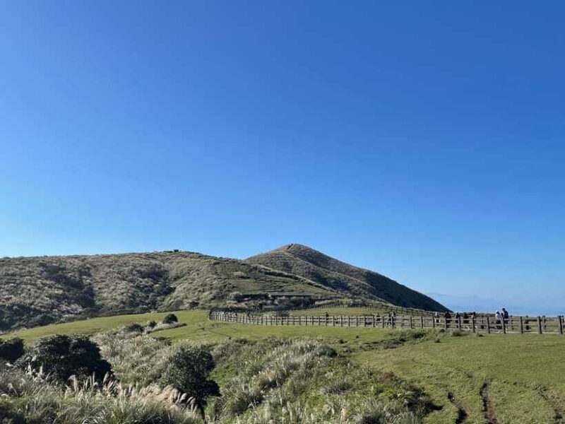 Taipei: Yanmingshan walking tour - Qingtiangang Grassland - Why This Tour Offers Real Value