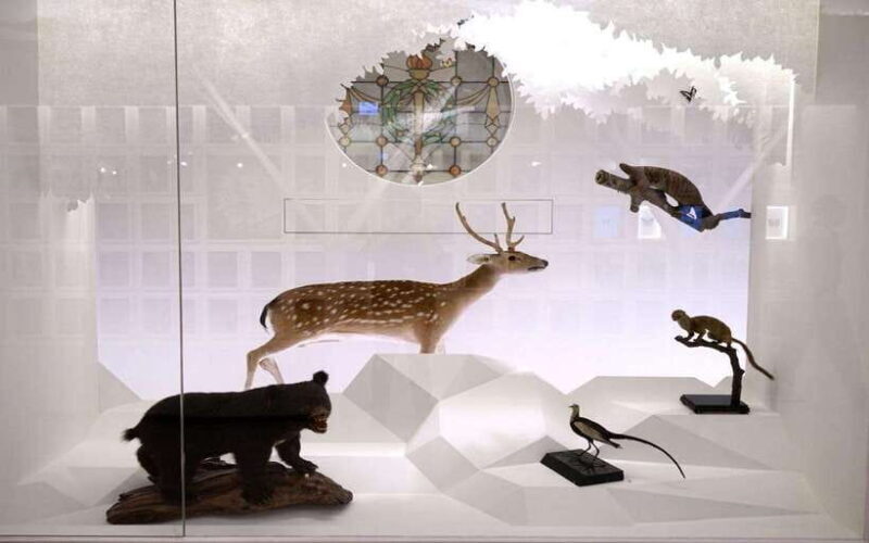 Taiwan Museum, MOCA Taipei & Miniatures Museum Entry Tickets - How This Tour Brings Value