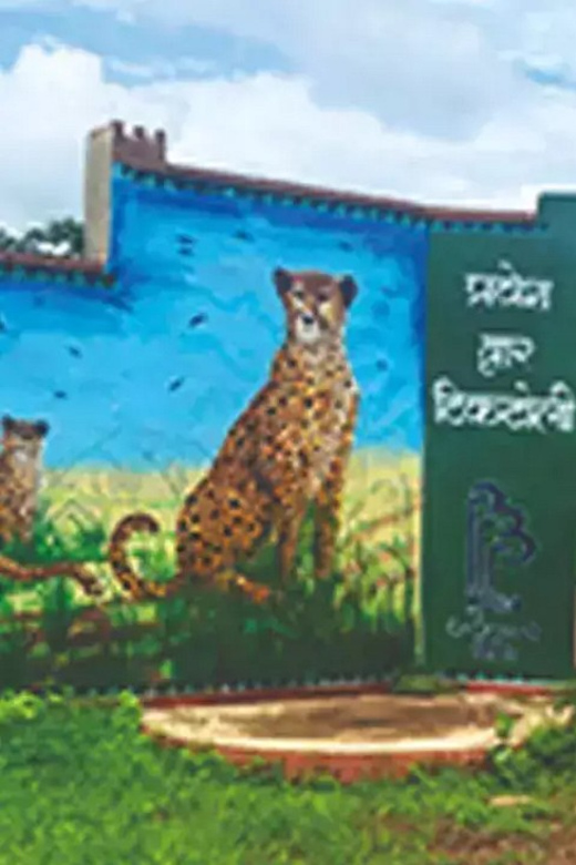 Taj Mahal Tour With Kuno National Park Safari Tour 6n/7d - Exclusions