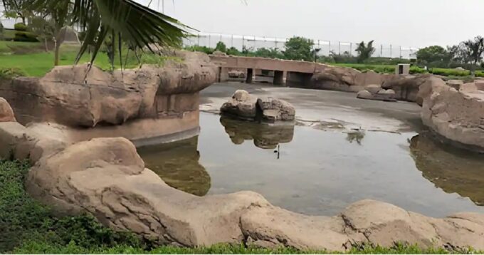 Taj Mahal With Etawah Wildlife Safari Tour 04 Days 03 Nights - Included Services