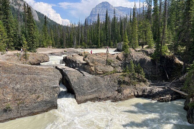 Takakkaw Falls Yoho National Park Bus Tour - A Closer Look at the Experience
