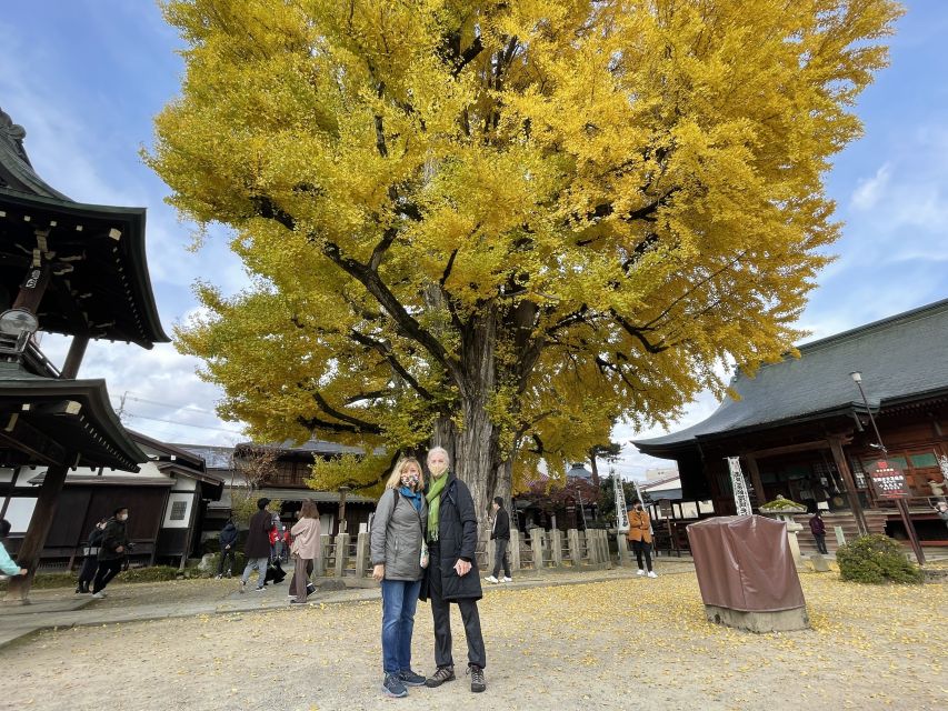 Takayama: Private Walking Tour With a Local Guide - Sanmachi Street and Local Shops