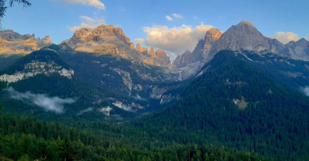 Take a Hike to the Most Beautifull Nature Close to the City - Safety Precautions and Restrictions