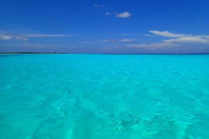 Take a Ride in your Buggie in Cozumel only from Tulum - In-Depth Look at the Tour