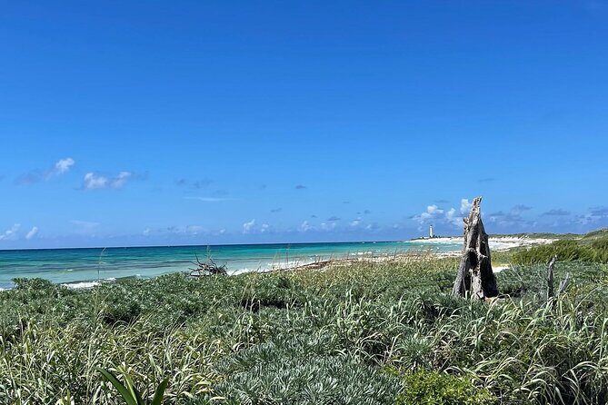 Take a Ride in your Buggie in Cozumel only from Tulum - FAQ