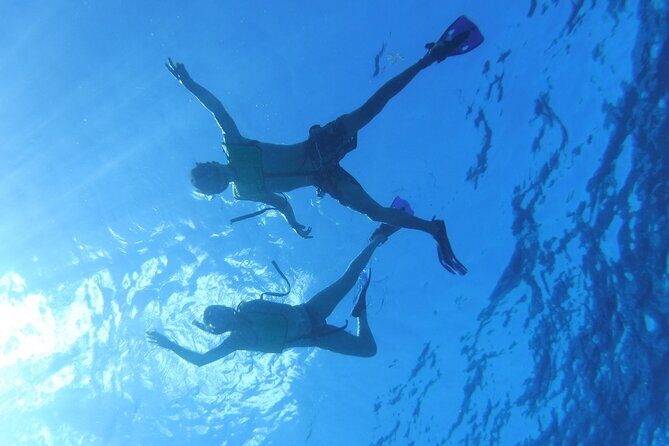 Take a Ride in your Buggie in Cozumel only from Tulum - In Summary