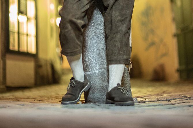 Take Fabulous Photos of Yourself in Vienna - Introduction