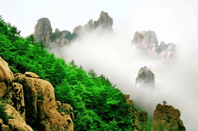 Take Metro From Qingdao to Laoshan Day Tour With Cable Car - Taiqing Palace and Monasteries