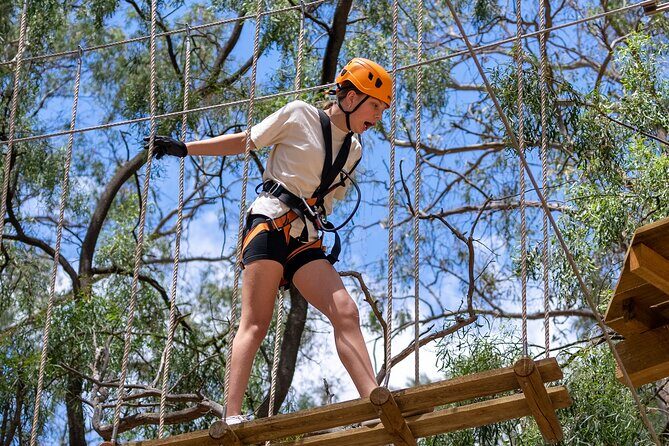 Take the Challenge and Conquer the Salisbury Treetops - How the Experience Feels and What You Can Expect