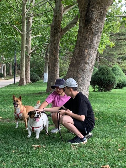 Taking a Walk With Rescue Puppies - Exploring the Park