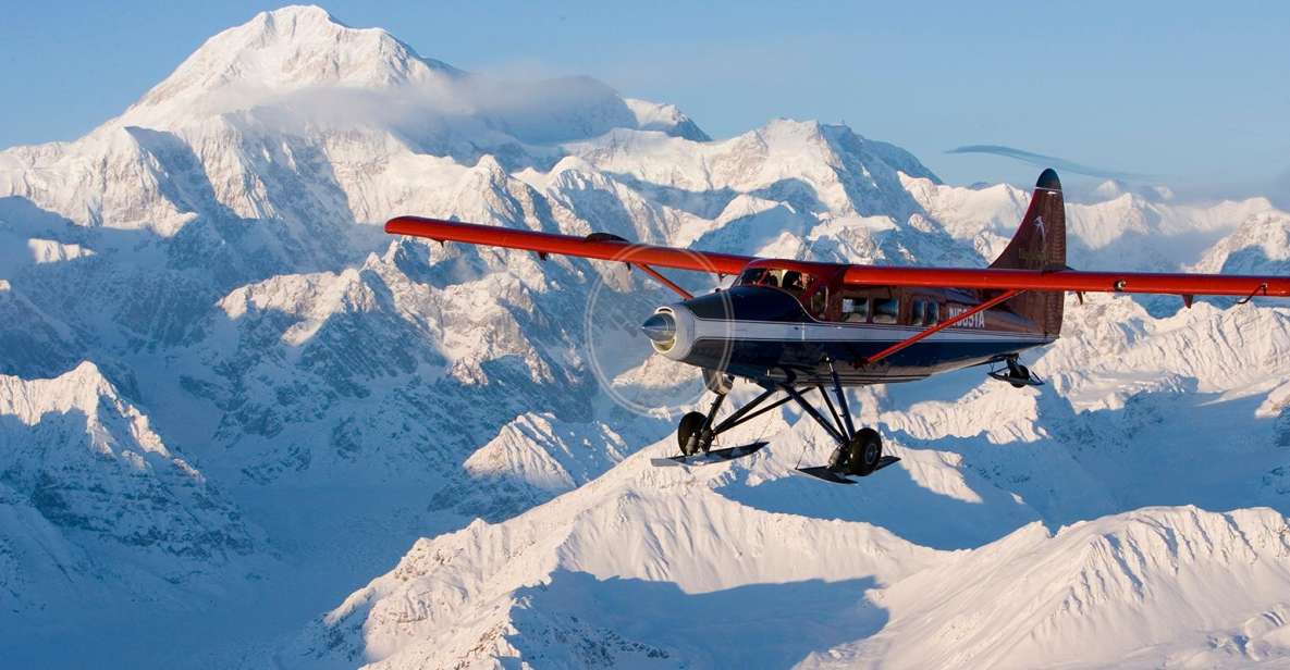 Talkeetna: Denali Southside Explorer Scenic Air Tour - Highlights of the Flight