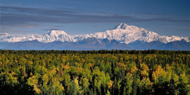 Talkeetna: Denali Zipline Tours - Key Points