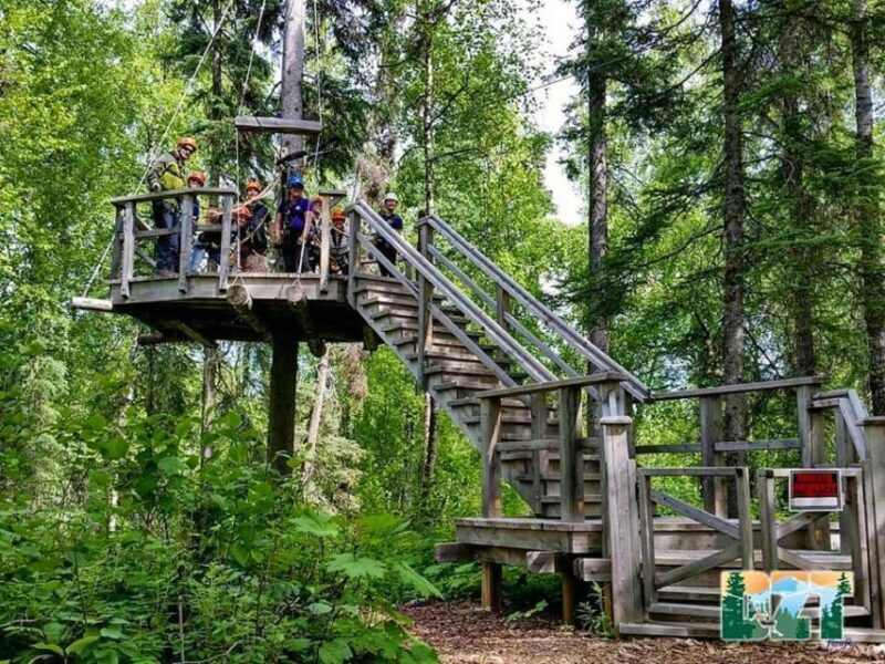 Talkeetna: Denali Zipline Tours - What Travelers Say