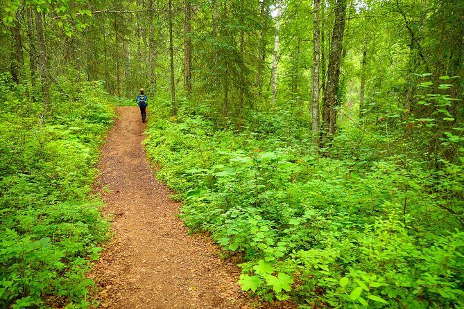 Talkeetna Lakes Hike Guided by a Naturalist - Key Points