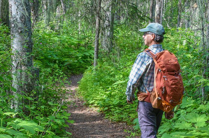 Talkeetna Lakes Hike Guided by a Naturalist - The Value of This Experience