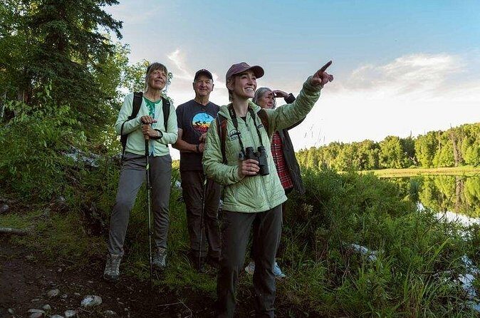 Talkeetna Lakes Hike Guided by a Naturalist - The Sum Up: Who Will Love This Tour?