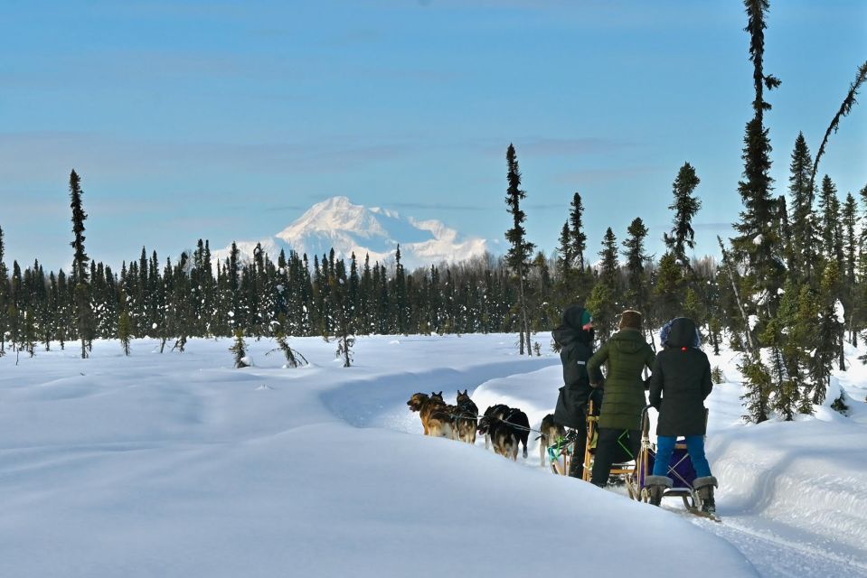 Talkeetna: Winter Dog Sled Tour Morning or Night Mush! - Key Points