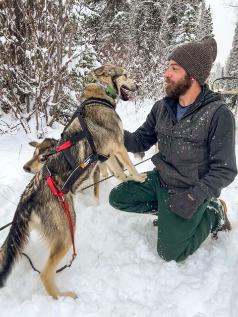 Talkeetna: Winter Dog Sled Tour Morning or Night Mush! - Tour Details
