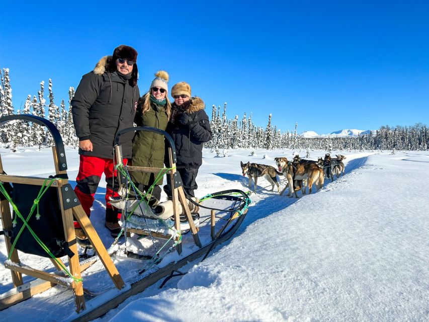 Talkeetna: Winter Dog Sled Tour Morning or Night Mush! - Itinerary