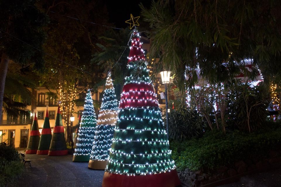 Tallahassee Delights: A Christmas Tour Through Art and Parks - Pricing Information