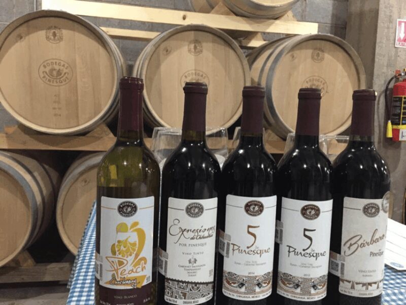 Taller Enológico: Embotella tu vino - FAQ