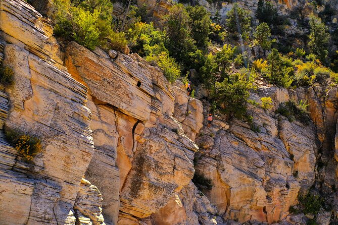 Tallest in Utah via Ferrata & Rappelling (4 Hr) - Cancellation Policy