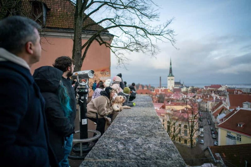 Tallinn: 1.5-Hour Old Town Walking Tour - Key Points