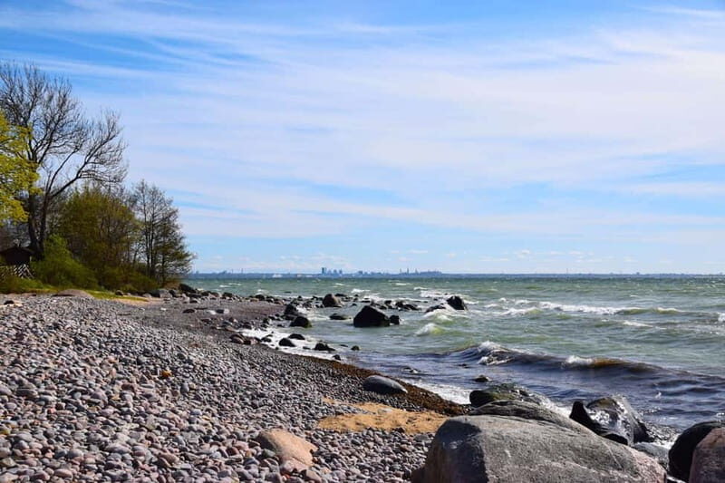 Tallinn: 3-Hour Ethnographic Museum of Estonia - Final Tips for Visitors