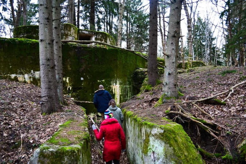 Tallinn: Coastal Cliffs and Rummu Submerged Quarry Day Tour - The Sum Up